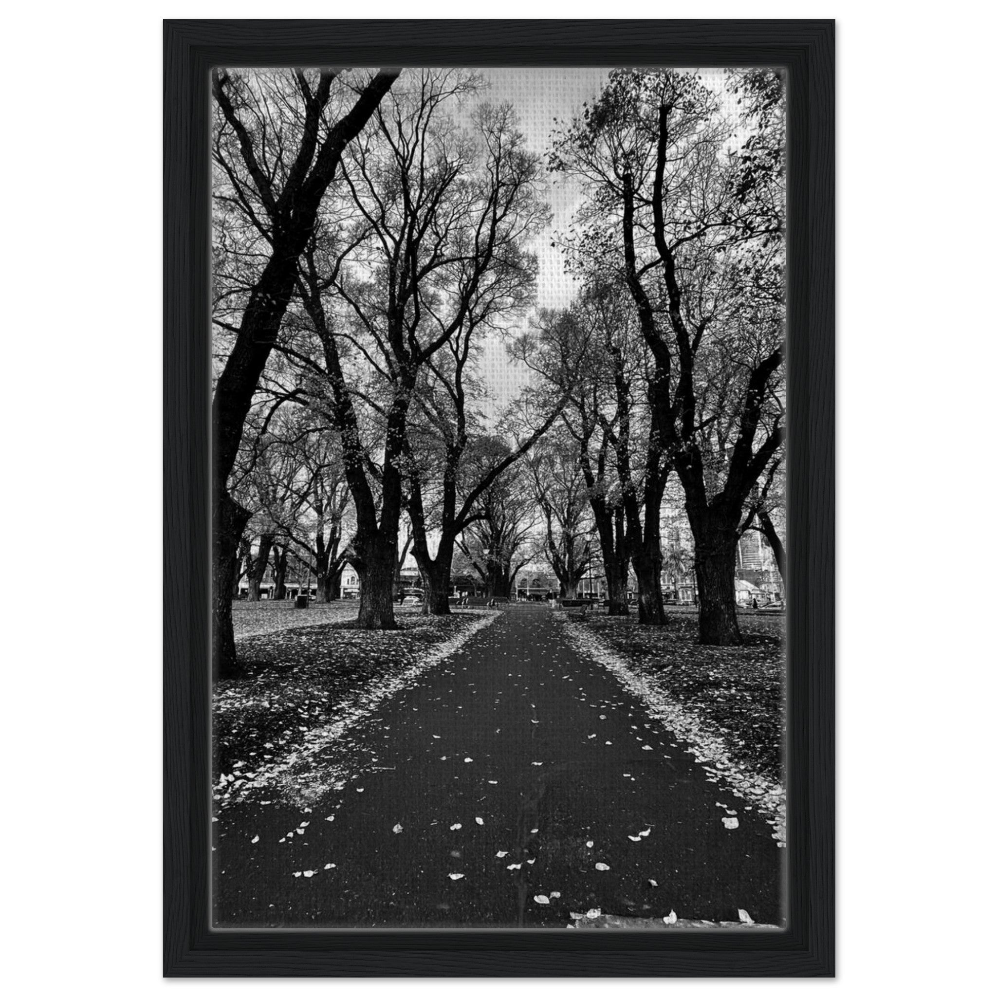 8c2e211a-8063-40c9-964b-833934c565c8